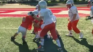 'Rookie Tackle' Football Program Aims To Keep Young Players Safe