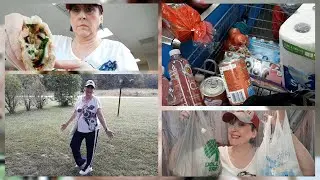 Car Vlog | Subway | Grocery Shopping | Walmart + Dollar Tree Haul