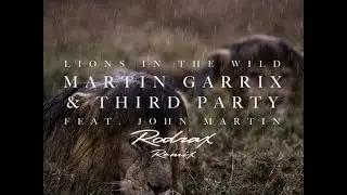 Martin Garrix - Lions in the Wild (Rodrax Remix)