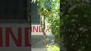 Patna law college,Patna University #patnauniversity #patnalawcollege #shorts #youtubeshorts #ytshort