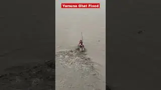 Delhi Flood Alert 2025