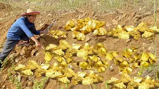 A Hunter found of Gold, Diamond Amethyst. Diamonds, Gemstone Quartz Crystal at the mountain