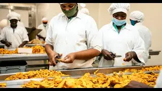Dried Fruit Processing at a Factory - Durian, Strawberry, Pineapple Chips - Fruit Snack