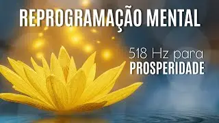 BIOKINESS: 528 Hz + 432 Hz for Mental Reprogramming for Prosperity