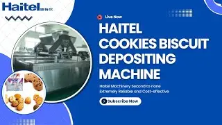 Still squeezing cookies by hand?🎈Try Haitel 3 Color Cookies Biscuit Deposit Machine!🚀