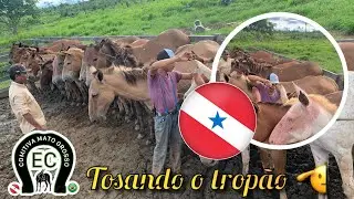 Comitiva Mato grosso nos preparativos, pra mais uma jornada 🫡
