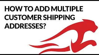 How To Add Multiple Customer Shipping Addresses?