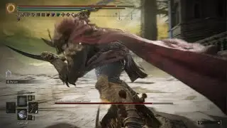 NG7+ Consort Parry Cold Beast Man Curve Sword Jump Attack