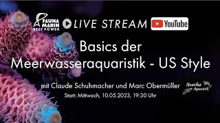 US Style von FAUNA MARIN