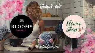 Toronto Blooms | POTTED PLANTS & SUCCULENTS