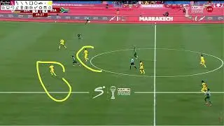 Zimbabwe vs South Africa match analysis (a thrilling match and South Africa progress to the R16)