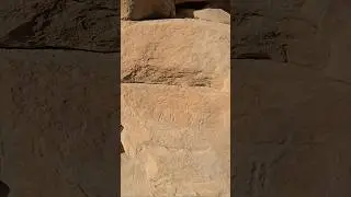 Обнаружение доисторических наскальных рисунков в пустыне &mdash; зооморфные фигуры (пустынные овцы)