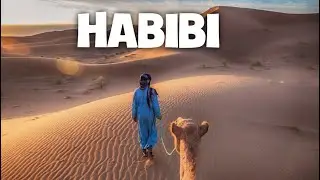 HABIBI ((MUSIC))_ DJ MORTIX  ((حبيبي))