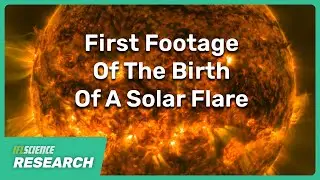 Most Detailed Observations Yet Reveal How Solar Flares Start