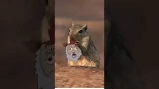 DAWN of the SQUIRRLS! Gnomes fear when the blood lust rises! #shorts #comedy #animation 🐾 #funny