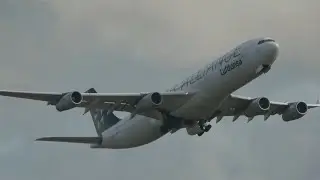 Vierstrahler hebt ab &ndash; Lufthansa A340-300 startet auf der 25C am Flughafen in Frankfurt 🛫 