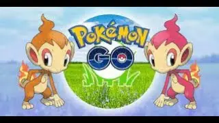 Chimchar Spotlight Hour in Pok&eacute;mon Go