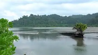 Galatea Bay Great Nicobar Island