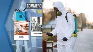 Commercial Pest Control Gold Coast | Eco-Friendly Pest Solutions for Businesses