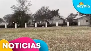 Una inusual nevada cubre Florida debido a la ola de fr&iacute;o | Hoy D&iacute;a | Telemundo
