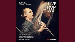 Clarinet Concerto, Op. 57, FS 129: Ia. Allegretto un poco (Live)