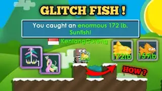 Tips Perfect Fish Use Cotd Bait ( Glitch Fish )