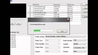 How to convert WMV to MPEG ?