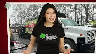 Danilo's Professional Tree Service & Landscaping