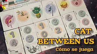 Cat Between Us - Card Game - Delirium Games
