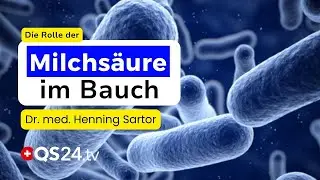 Die Magie der Milchs&auml;ure und ihre Bedeutung f&uuml;r die Darmflora  | Erfahrungsmedizin | QS24