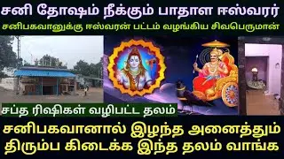வாத்தலை பாதாள ஈஸ்வரர் கோயில் | சனி தோஷம் நீக்கும் திருநாள்ளாறு தலத்திற்கு இணையான தலம்