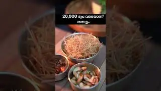 Job Vacancy in Milma 2024 | Marketing Promoter Positions in Kerala Districts | Apply Now!