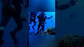 Scuba diving + other activities in havelock island and Neil island 🏝️ || #explore #travel #shorts