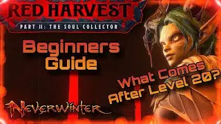 Neverwinter Beginners Guide: What Comes After Level 20? 