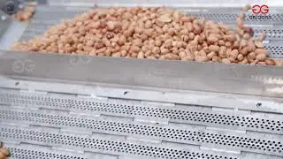 Spice up your snack line with our spicy peanut production line! 🌶🥜