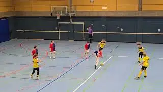 Hallenmeisterschaft 2025-2026 / 30.11.25 / D-Junioren / SGM Gosheim/Wehingen II - SGM Frommern II