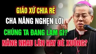NHÌN CÁC GIÁO XỨ CHIA RẼ, ĐTGM NGUYỄN NĂNG NGHẸN LỜI: CHÚNG TA ĐANG NÂNG NHAU LÊN HAY ĐÈ NHAU XUỐNG