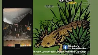 Mexican Nutty Stompers &ndash; &ldquo;Sweet Lady&rdquo; | Ska en el Altiplano Vol. 1 | En vivo Apan, Hidalgo. FURTIVOS