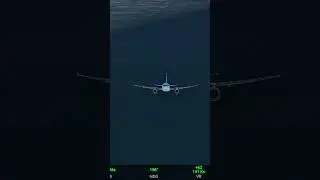 Smooth Flight! Pesawat Korean Air Mengudara dengan Elegan#flights #flightsimulator #flight