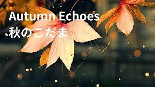寂しさに寄り添い、体温を上げる。二本の弦が奏でる抱擁