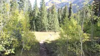 Maroon Creek