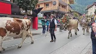 4.10.2025 Mayrhofen Almabtrieb Teil1
