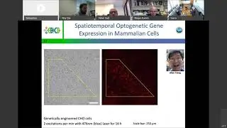 EBICS Virtual Research Symposium - Sebastian Palacios from Weiss Lab  (MIT)