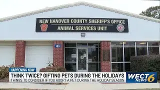 Animal Shelter advises against surprise pets as Christmas gifts