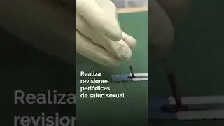 D&iacute;a Mundial del Sida