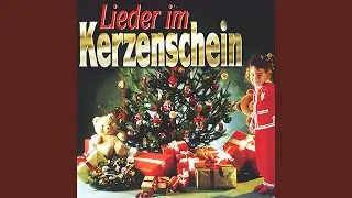 Der Christbaum ist der sch&ouml;nste Baum