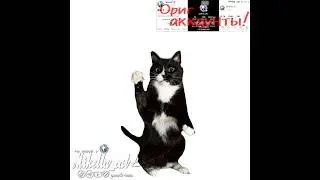 Хы#умаляюзалети #cat #активнепадай #рек #teameork #микелла #мем #активприди #активвернись #Ыы #ت #хз