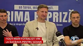 Dorin Goian, meci de adio cu staruri pe Areni