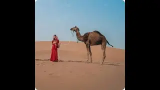 UNESCO World Heritage in Focus: Jaisalmer Fort & Aerial Heritage of Golden city