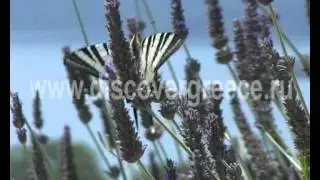 Пелопоннес - Мани Discover Greece.ru